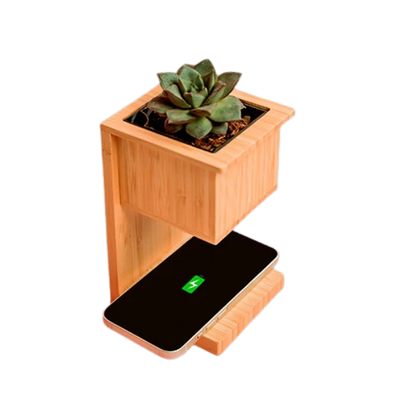 Wangari Alder Wireless Charger with a Touch of Green