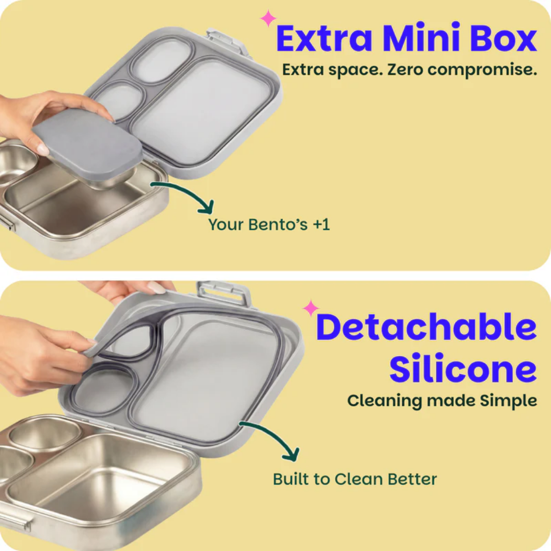 Basil Bento Quad + Lunch Box